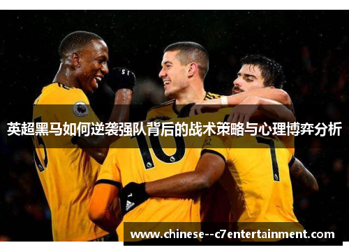 英超黑马如何逆袭强队背后的战术策略与心理博弈分析