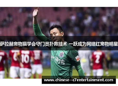 萨拉赫宠物猫学会守门员扑救技术 一跃成为网络红宠物明星 萨拉赫宠物猫学会守门员扑救技术 一跃成为网络红宠物明星