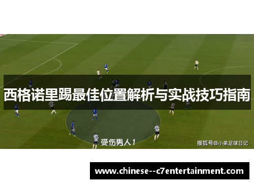 西格诺里踢最佳位置解析与实战技巧指南
