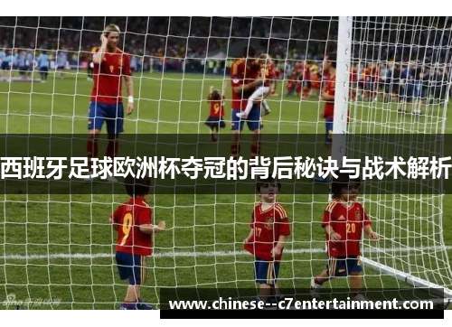 西班牙足球欧洲杯夺冠的背后秘诀与战术解析