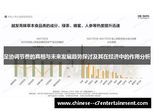 足协调节费的真相与未来发展趋势探讨及其在经济中的作用分析 足协调节费的真相与未来发展趋势探讨及其在经济中的作用分析