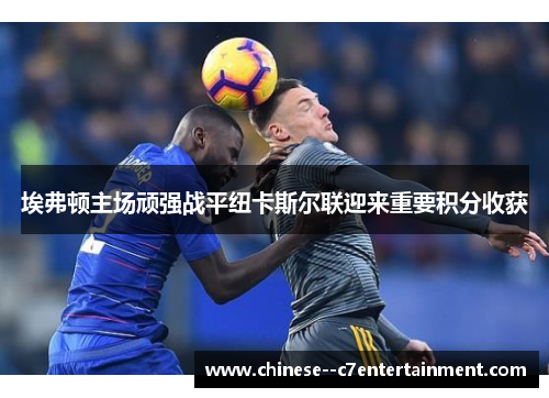 埃弗顿主场顽强战平纽卡斯尔联迎来重要积分收获