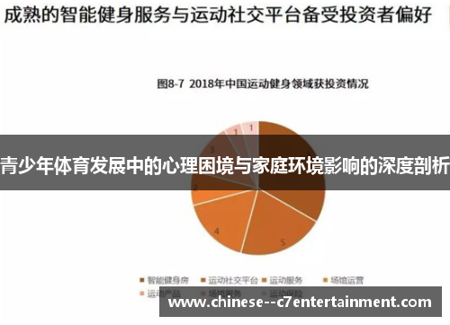 青少年体育发展中的心理困境与家庭环境影响的深度剖析