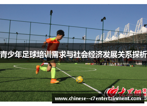 青少年足球培训需求与社会经济发展关系探析