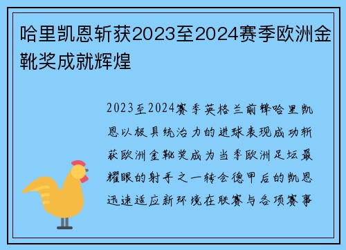 哈里凯恩斩获2023至2024赛季欧洲金靴奖成就辉煌