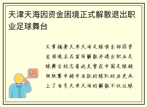 天津天海因资金困境正式解散退出职业足球舞台